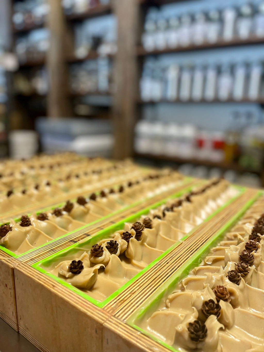 Scotch Pine | Mango Butter Soap