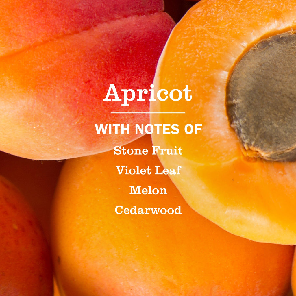 Apricot Liquid Hand Soap