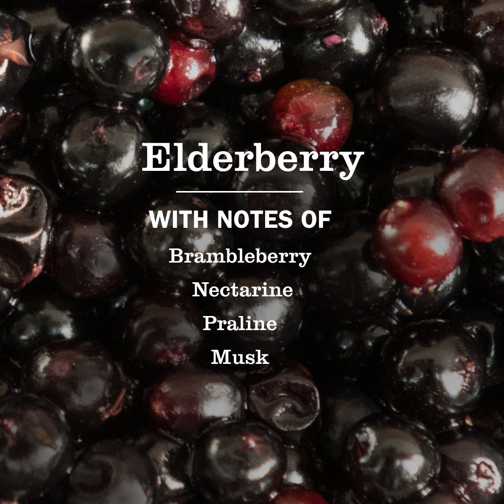 Elderberry Liquid Hand Soap 3-count Bundle