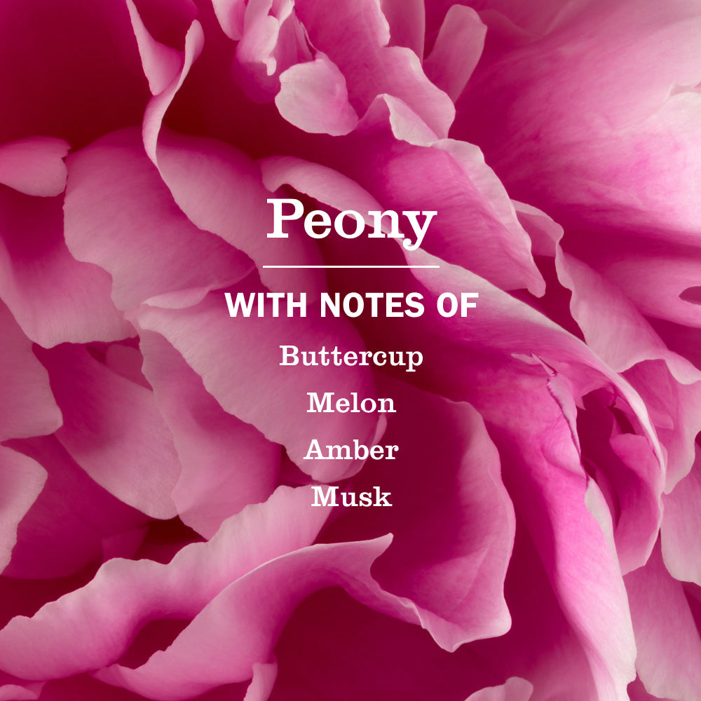 Peony Liquid Hand Soap & Refill Set