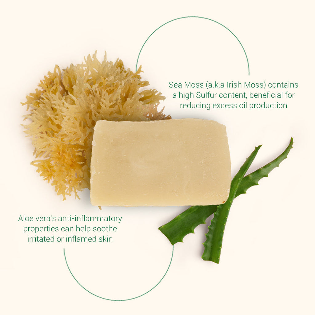 Sea Moss & Aloe Bar Soap