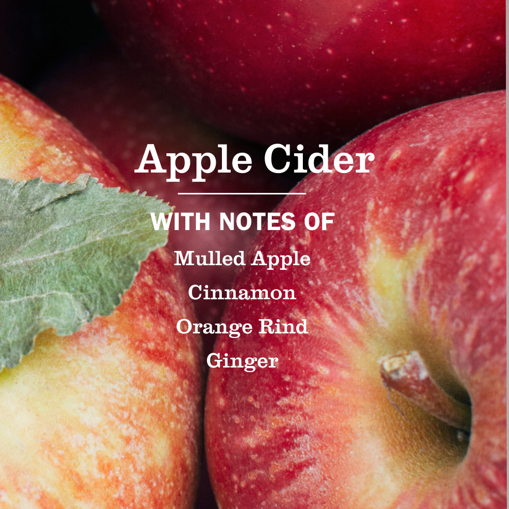 Apple Cider Liquid Hand Soap 3-count Bundle