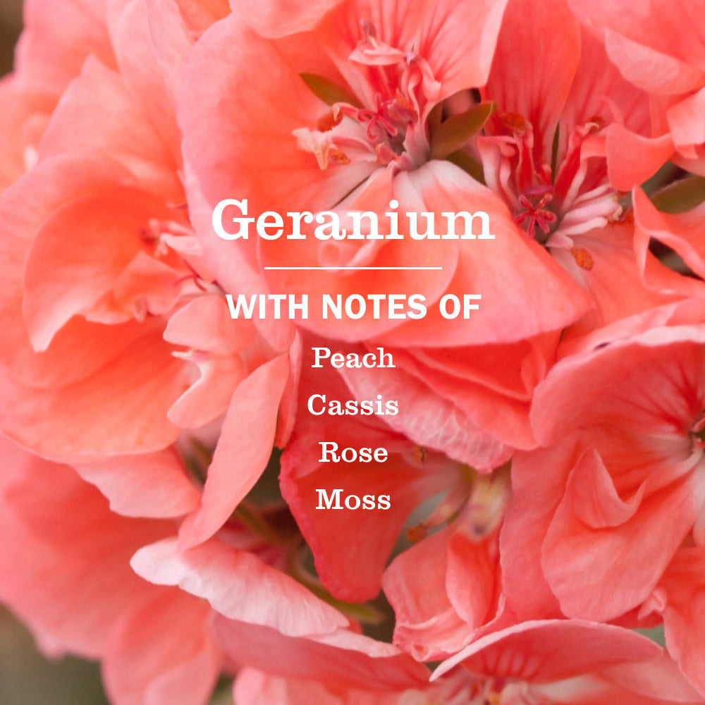 Geranium Liquid Hand Soap