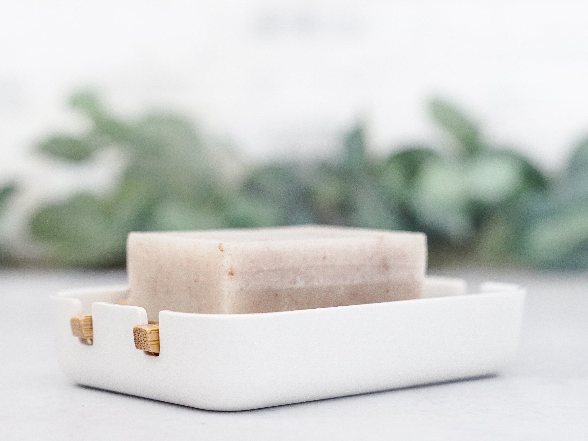 Biodegradable Soap Dish