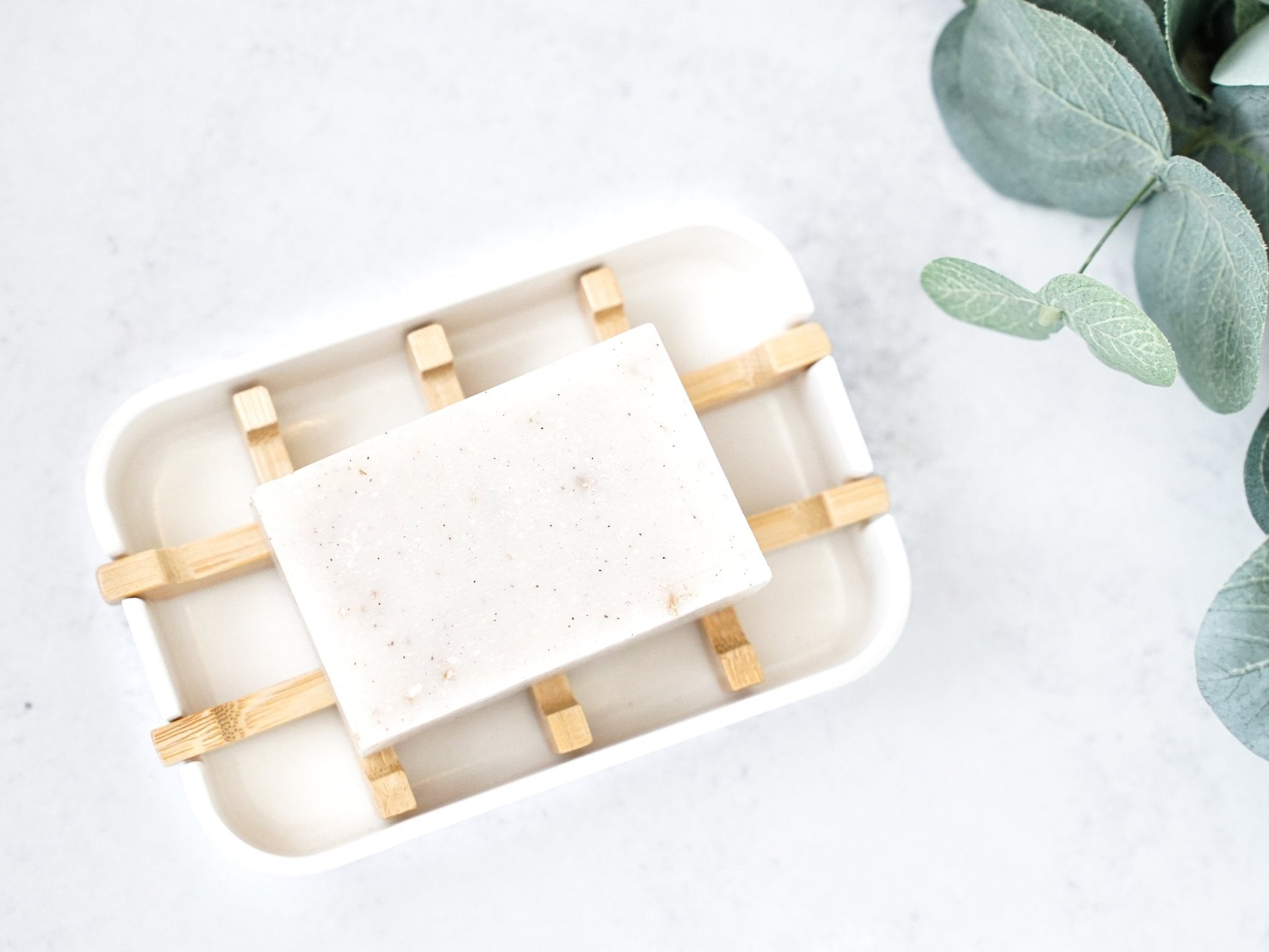 Biodegradable Soap Dish
