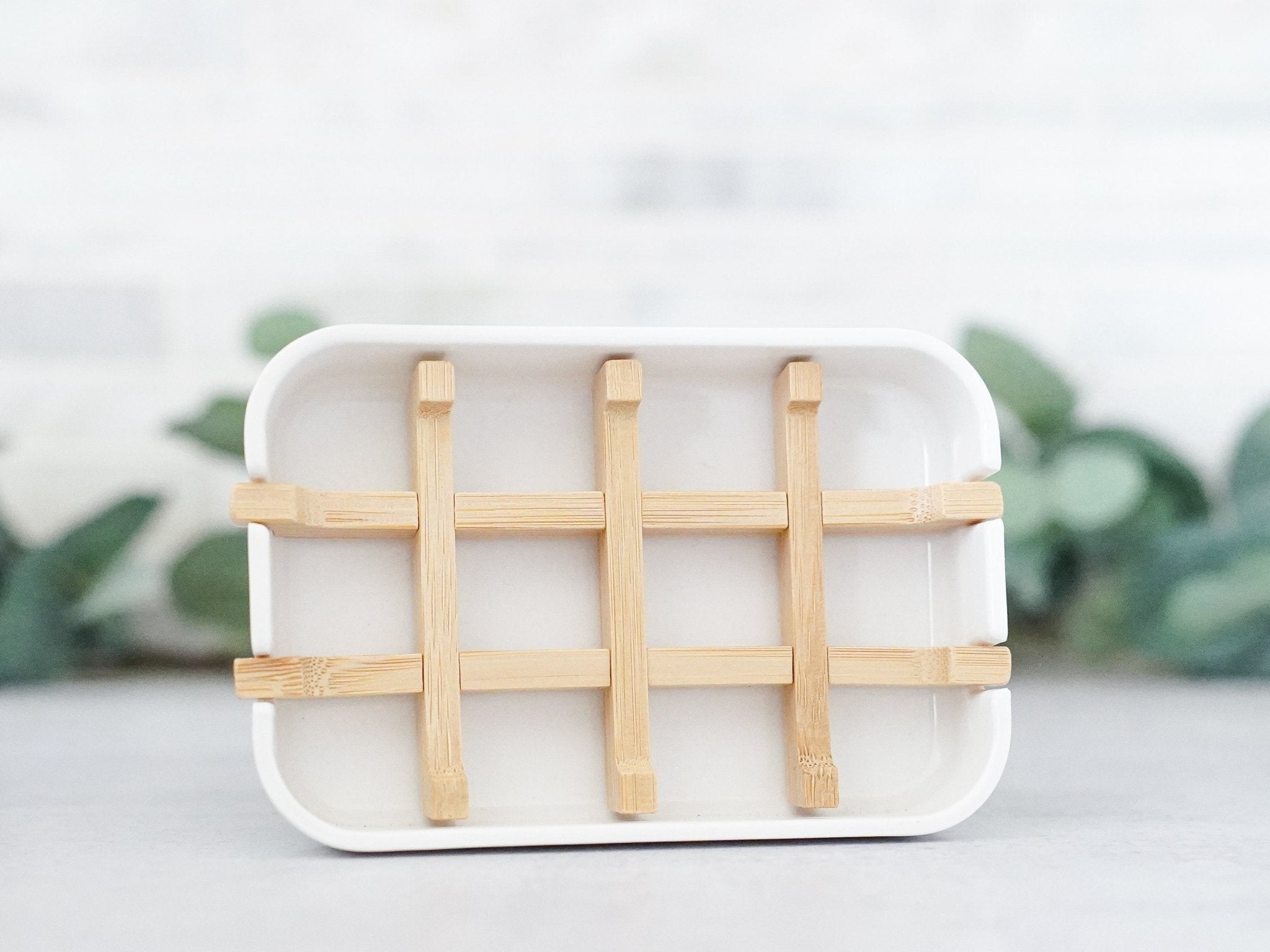 Biodegradable Soap Dish