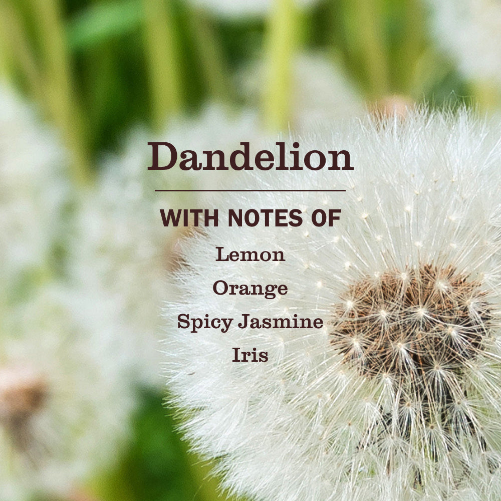 Dandelion Liquid Hand Soap 3-count Bundle