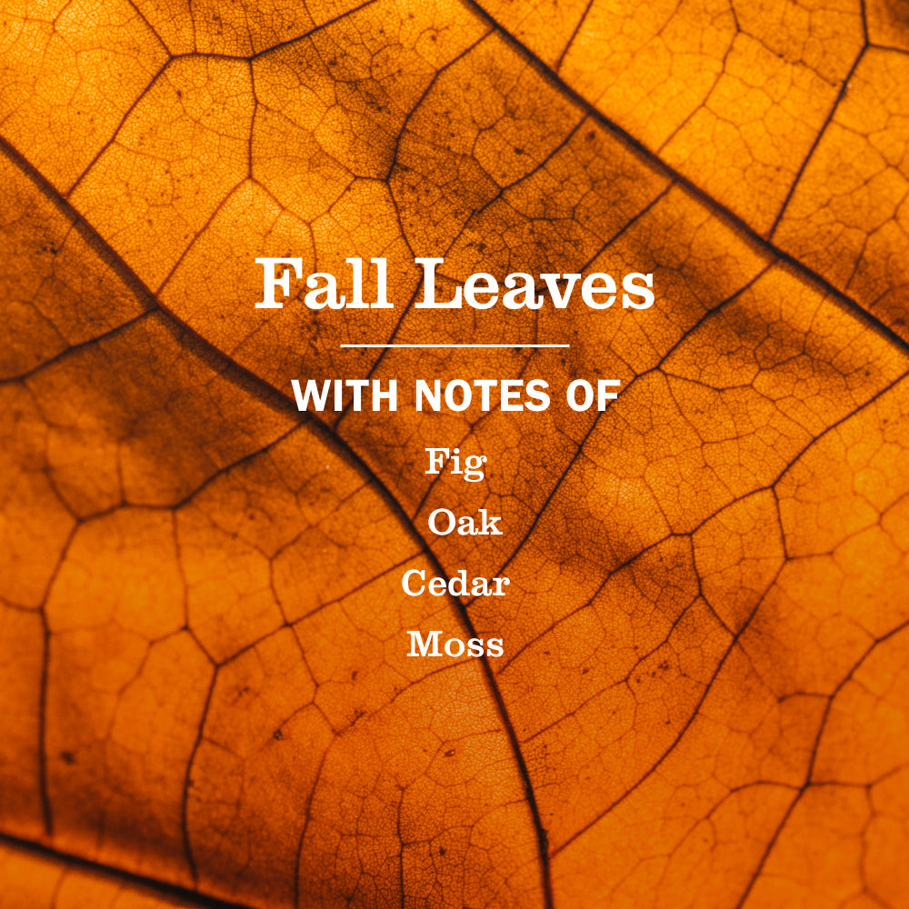 Fall Leaves Liquid Hand Soap 3-count Bundle