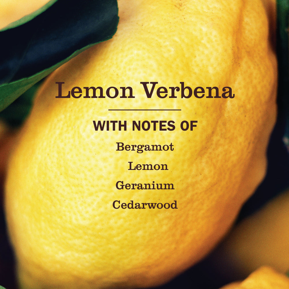 Lemon Verbena Foaming Hand Soap