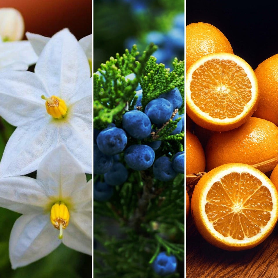Jasmine, Juniper and Orange Bar - Uplifting Soap and Solid Shampoo - back on 16th August