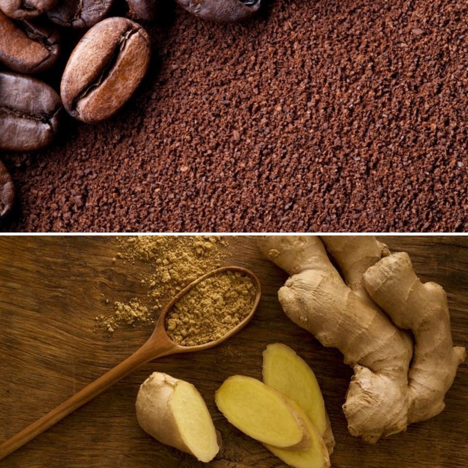 Coffee and Ginger Bar -  Stimulating Shampoo & Exfoliating Soap