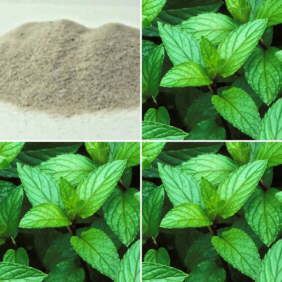 Peppermint Exfoliating Pumice Soap