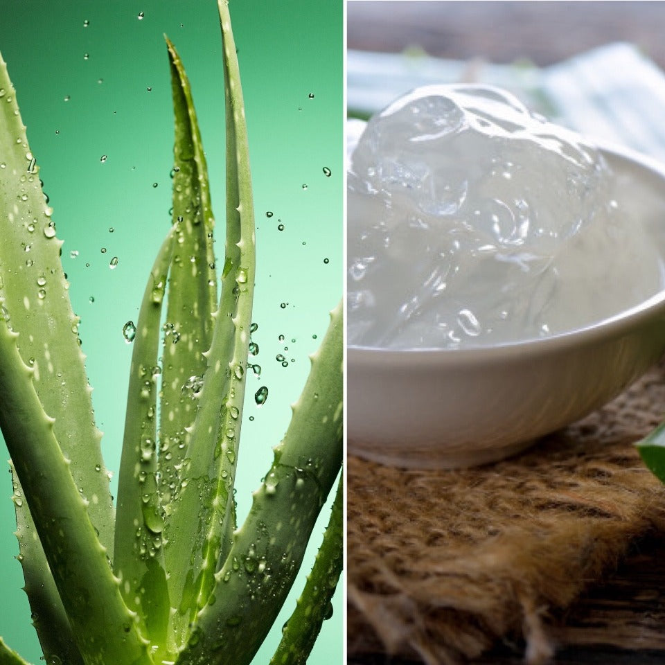 Aloe Vera Bar - Gentle Soap and Solid Shampoo for Sensitive Skin