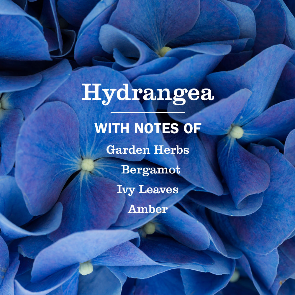 Hydrangea Liquid Hand Soap