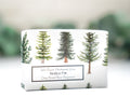 woodsy natural bar soap, men’s soap gift, winter forest soap, clay facial bar