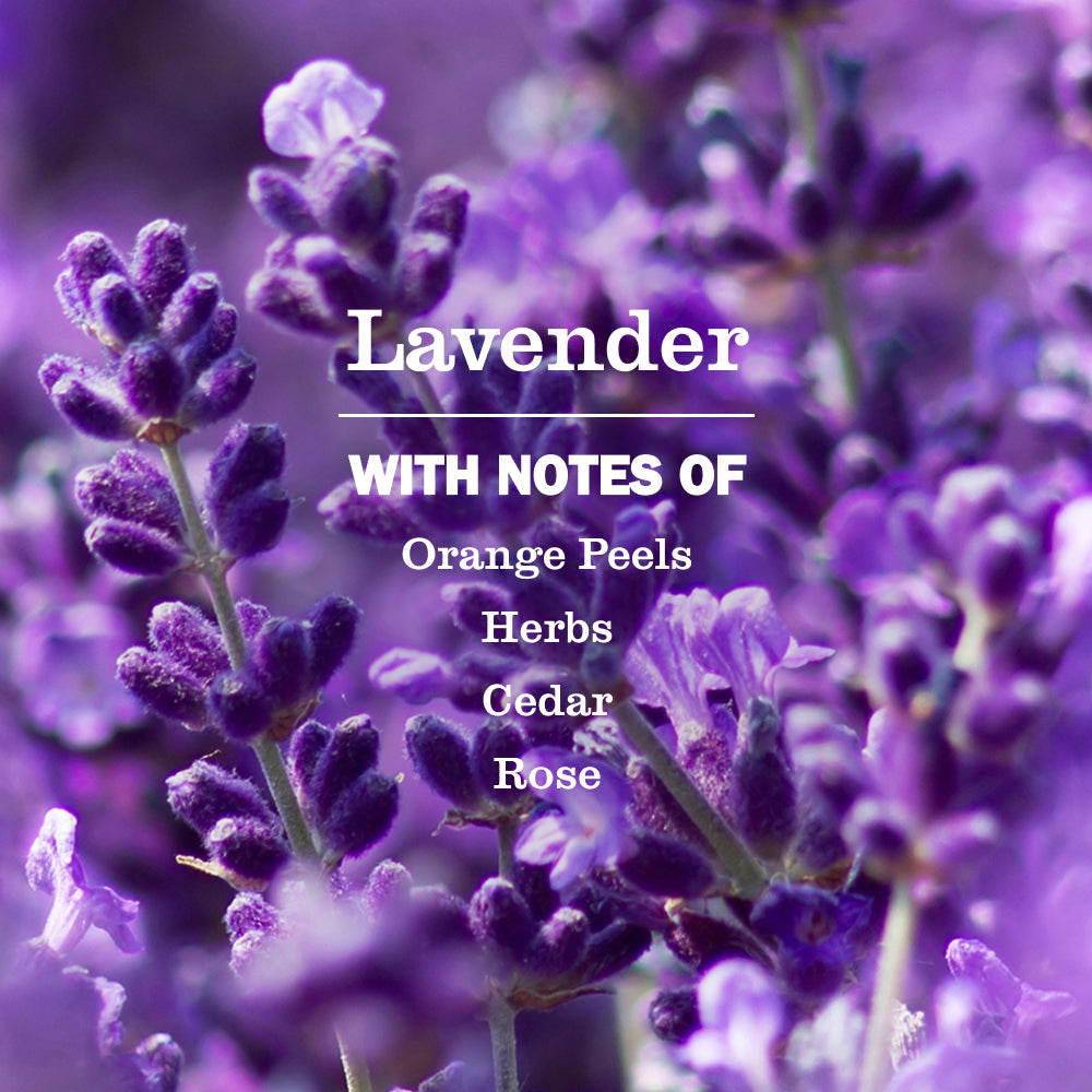 Lavender Liquid Hand Soap