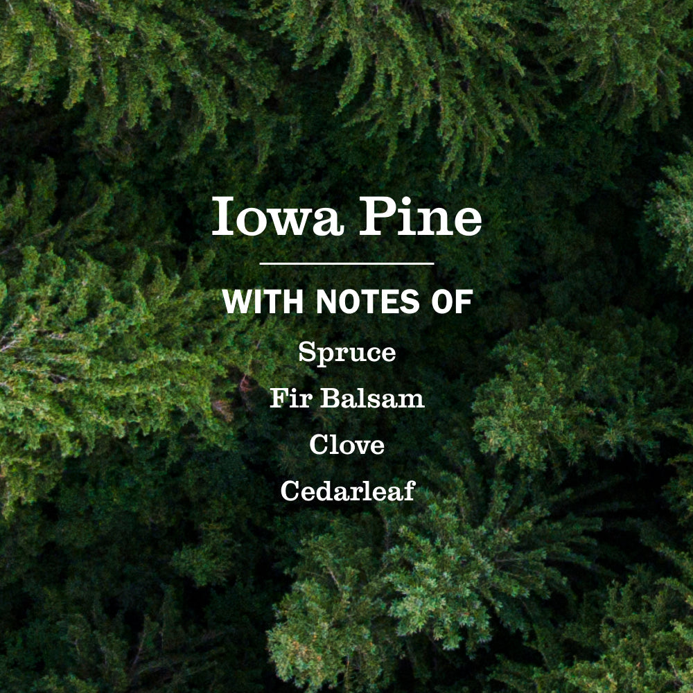Iowa Pine Hand Lotion