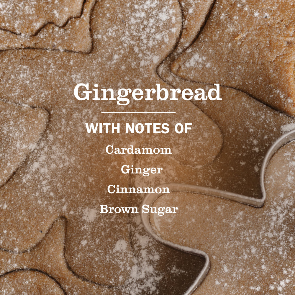 Gingerbread Liquid Hand Soap 3-count Bundle