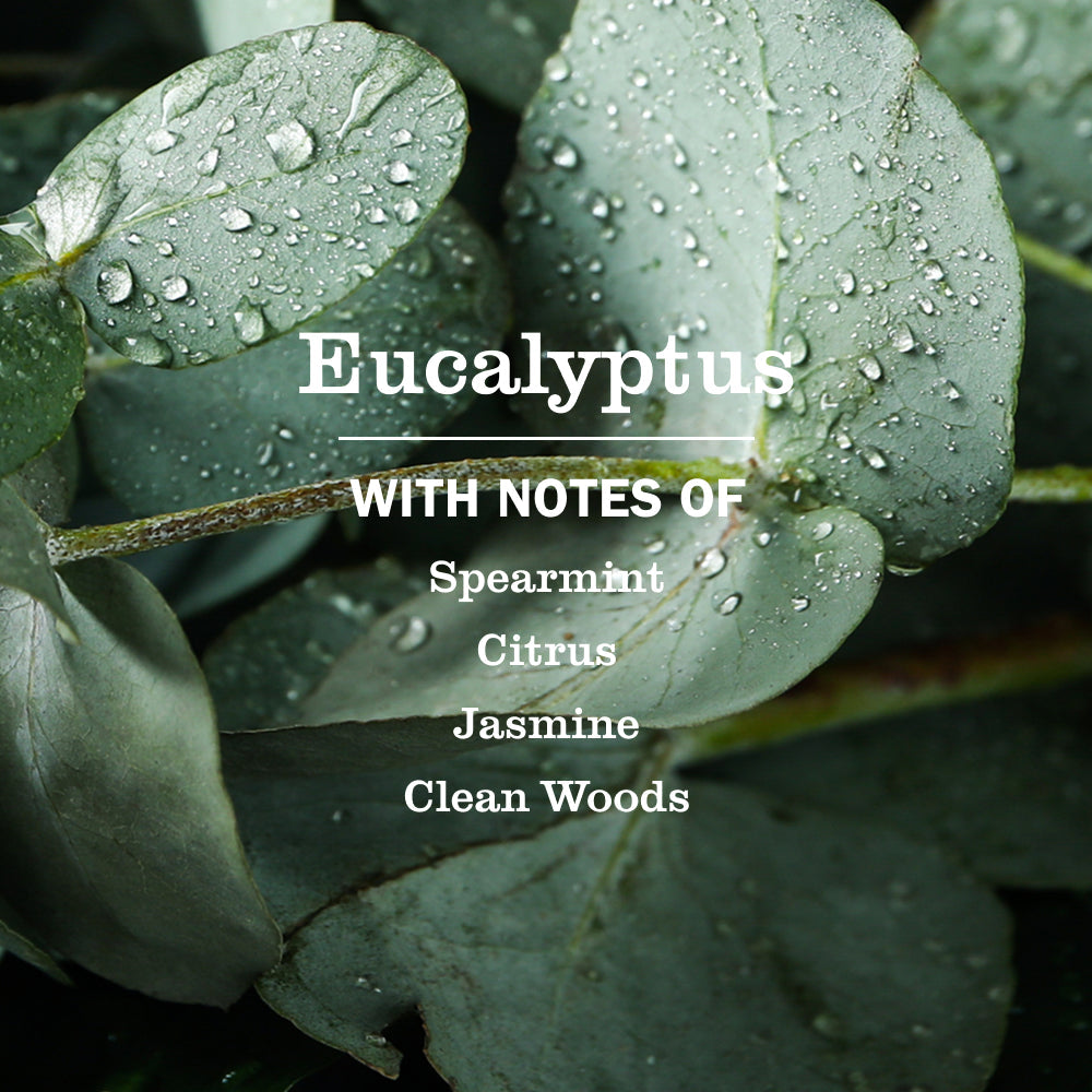 Eucalyptus Liquid Hand Soap