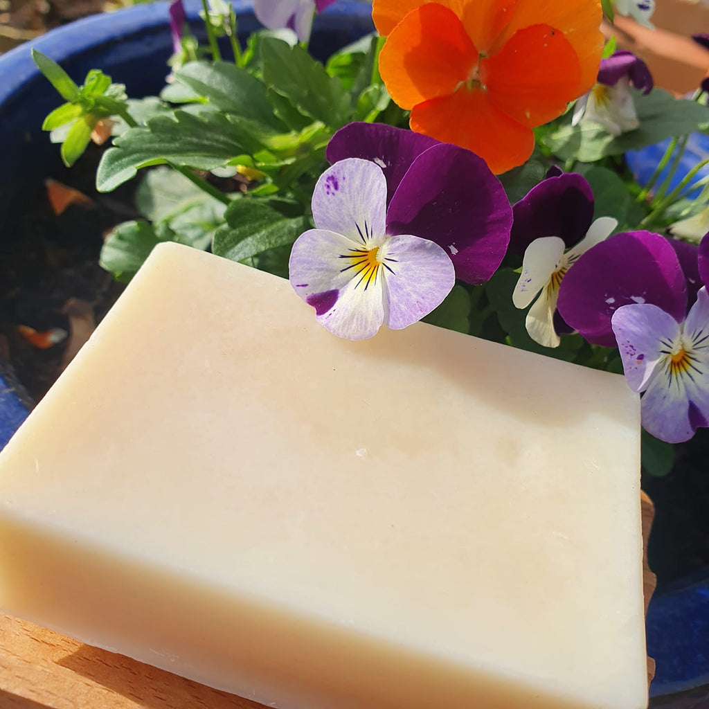 Suspended Soap & Shampoo Bar - Food Bank Donation