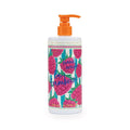 Fruity Stripes La Framboise Hand Wash 420ml