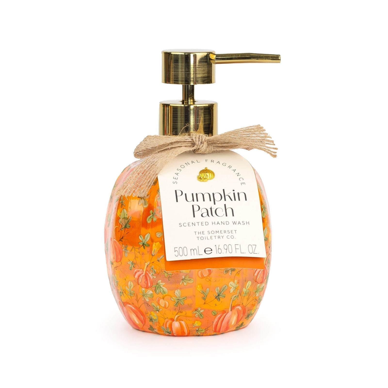 Pumpkin Patch Pattern Pumpkin Hand Wash 500ml