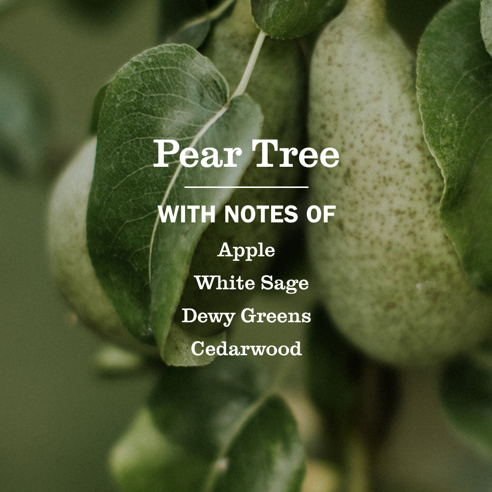 Pear Tree Liquid Hand Soap