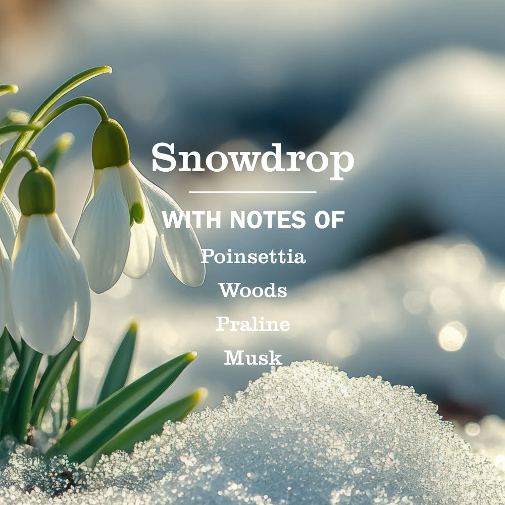 Snowdrop Hand Care Plus 5-Count Bundle