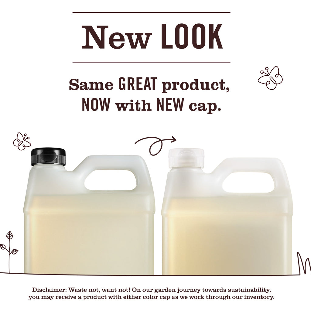 Snowdrop Liquid Hand Soap Refill