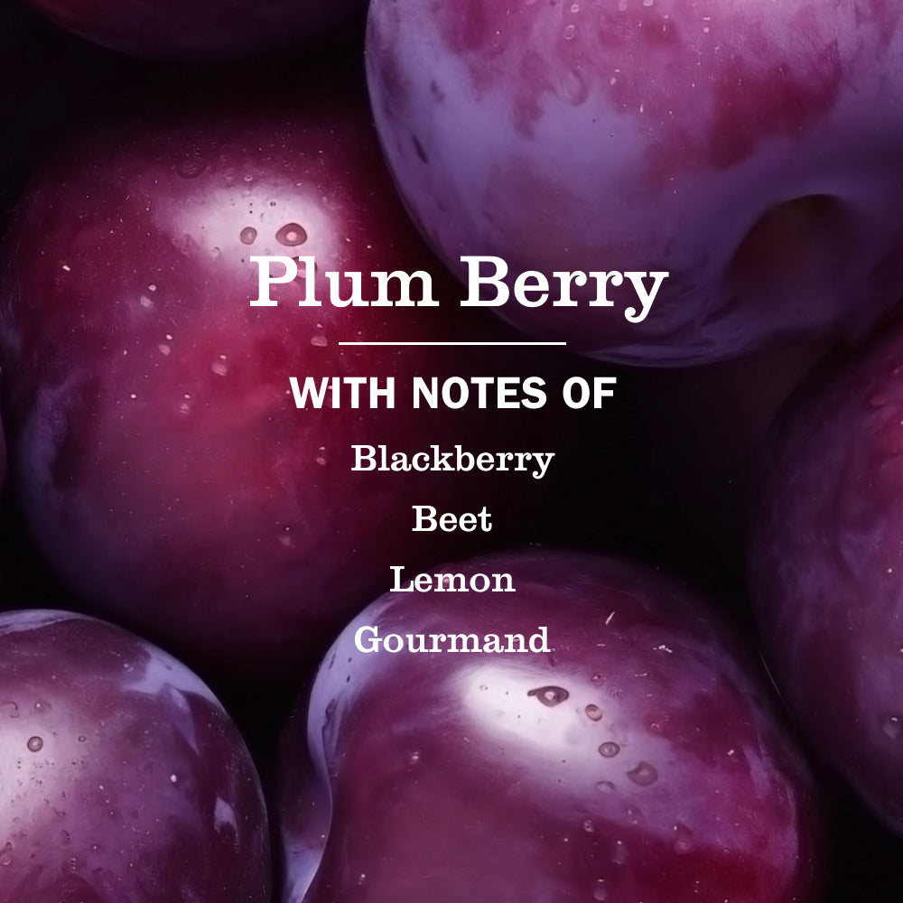 Plum Berry Liquid Hand Soap Refill