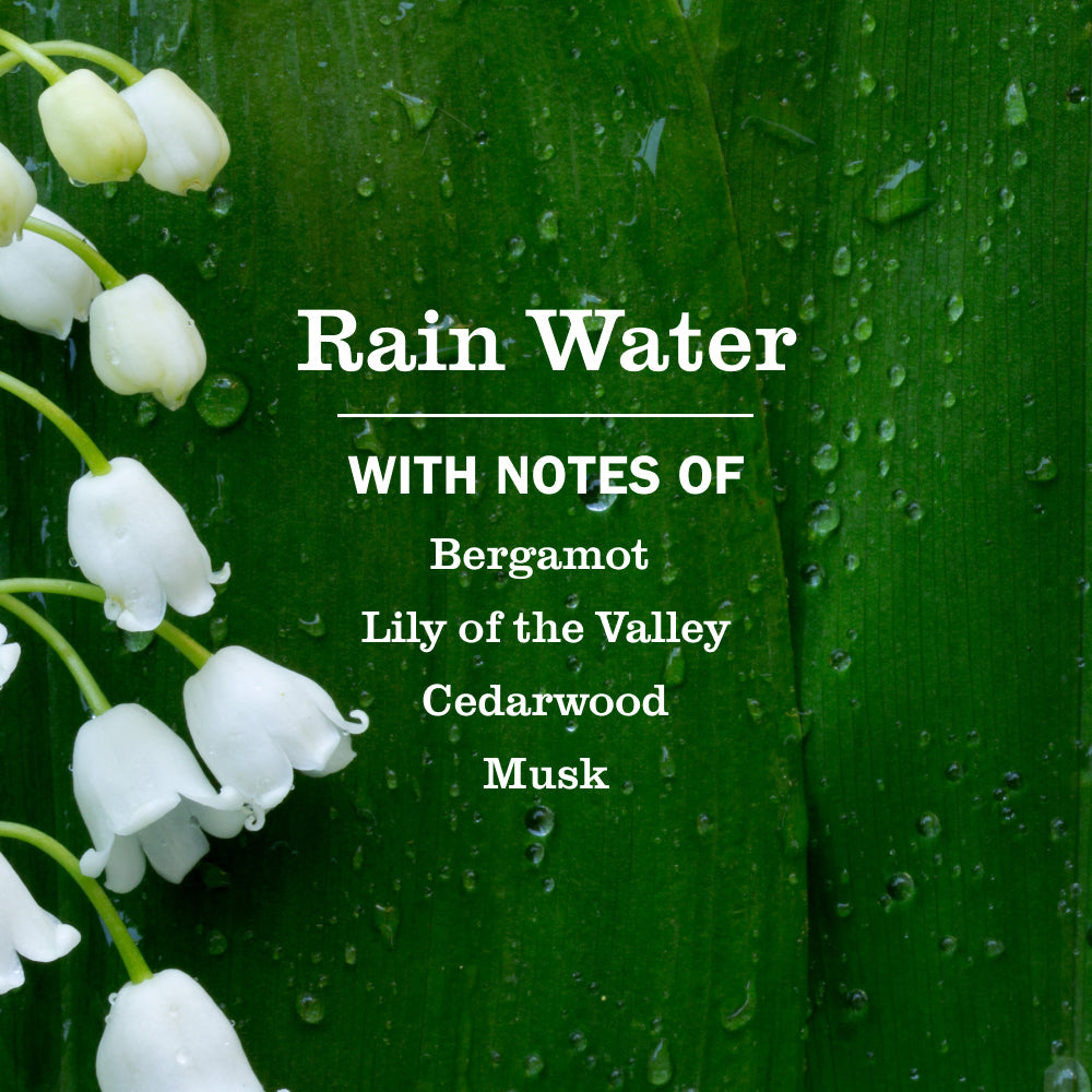 Rain Water Liquid Hand Soap