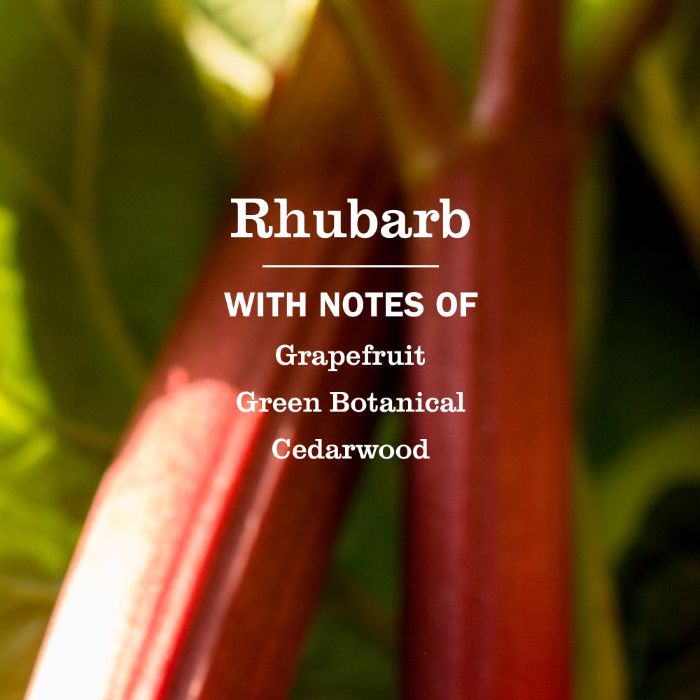 Rhubarb Liquid Hand Soap