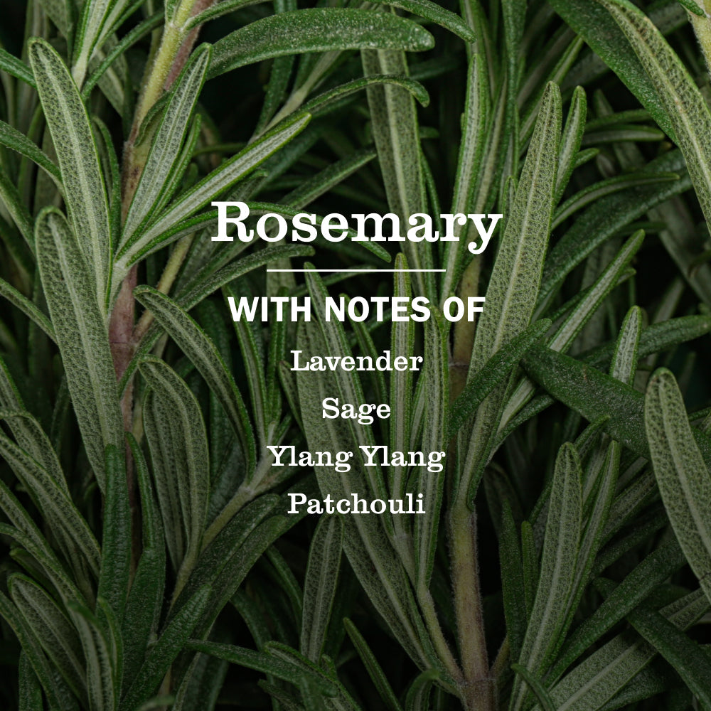 Rosemary Liquid Hand Soap